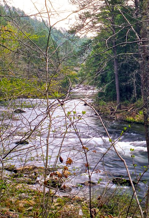 Conasauga Creek, Georgia