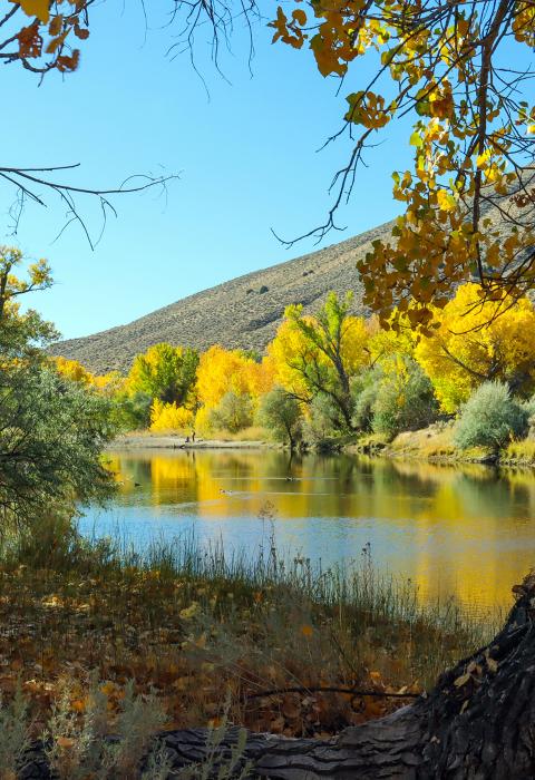 Carson River, Nevada