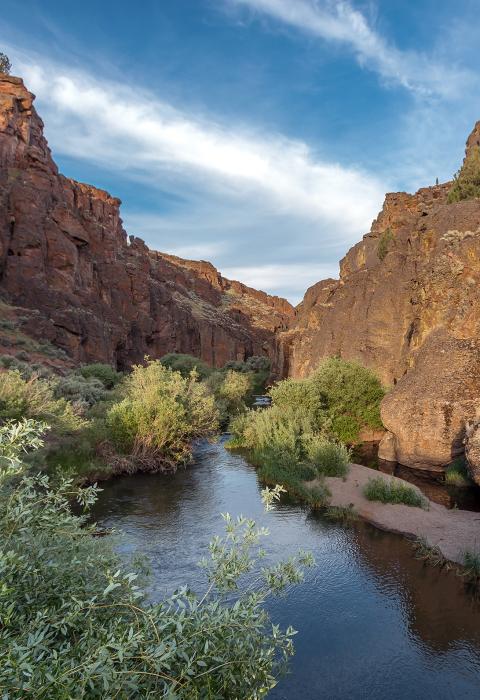 North Fork Owyhee River, Oregon