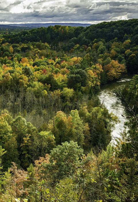 Manistee River, Michigan