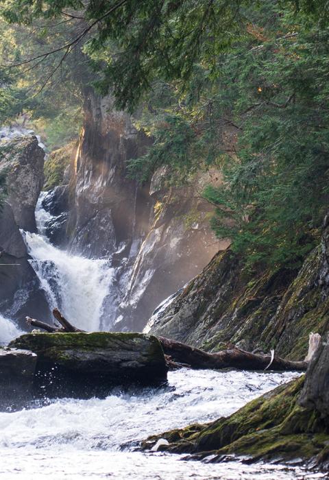 Sunlight reaches across big falls as the water pours over and around the moss-covered rocky outcropping, the falls are surrounded by trees on both sides.