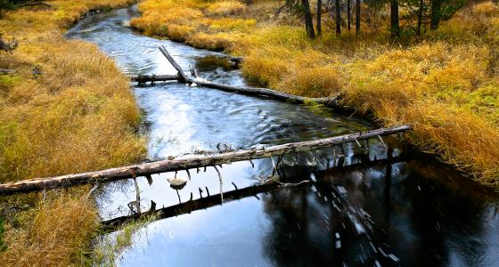 Big Marsh Creek, Oregon