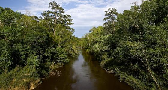Black Creek, Mississippi