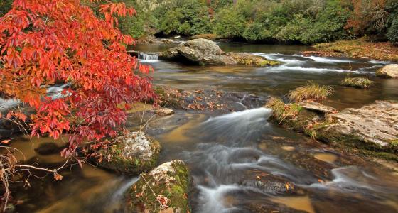 Chattooga River, Georgia