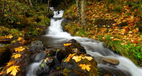 Clackamas River, Oregon