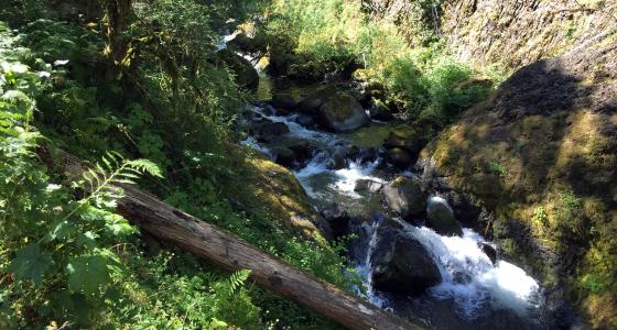 South Fork Clackamas River, Oregon
