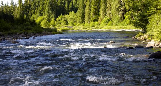 Collawash River