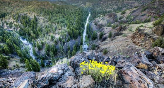 North Fork Crooked River, Oregon