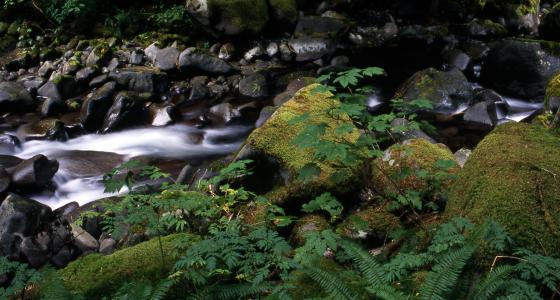Eagle Creek, Oregon