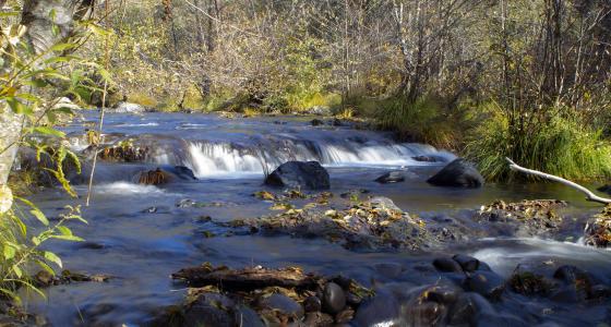 Elk Creek, Oregon