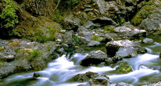 Elk River, Oregon