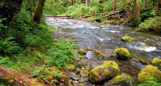 Elkhorn Creek, Oregon