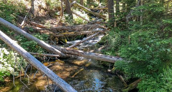 Fifteenmile Creek, Oregon