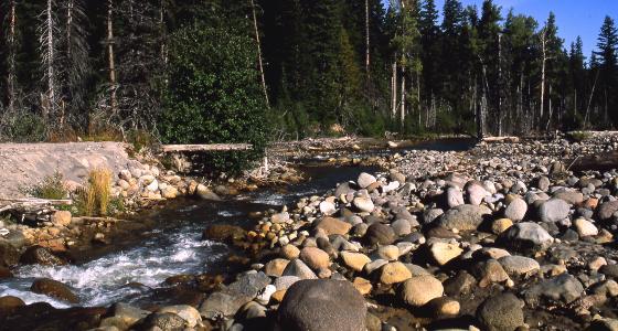 East Fork Hood River, Oregon