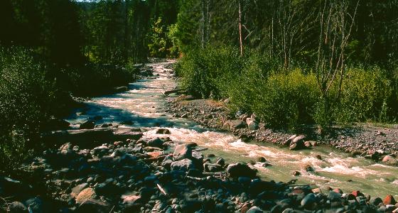 Middle Fork Hood River, Oregon