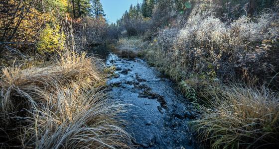 Jenny Creek, Oregon