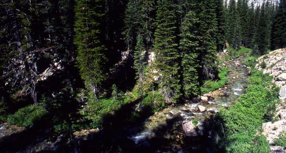 Lostine River, Oregon