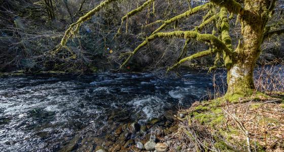 Nestucca River, Oregon