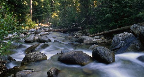 North Powder River, Oregon