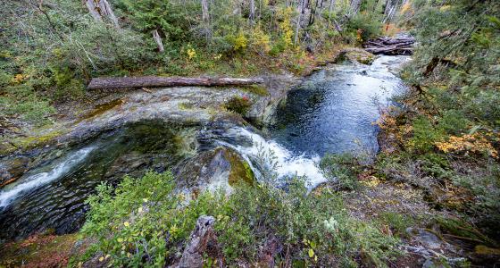 North Fork Silver Creek, Oregon