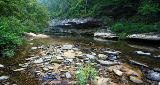 Sipsey Fork West Fork River, Alabama