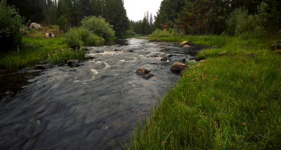 North Fork Sprague River, Oregon