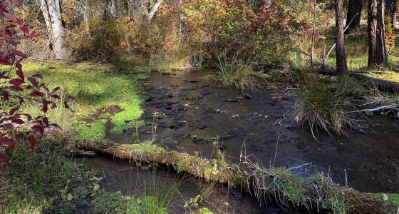 Spring Creek, Oregon