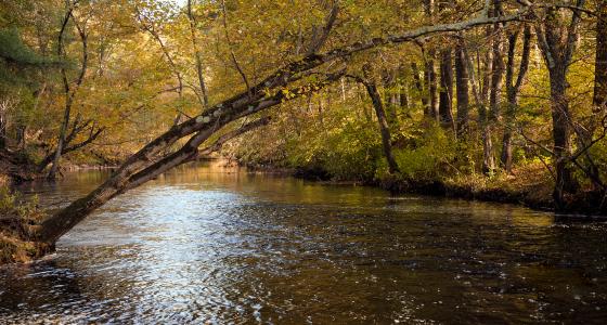 Squannacook River, Massachusetts & New Hampshire