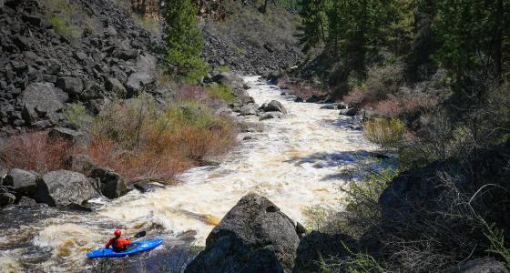 Sycan River, Oregon