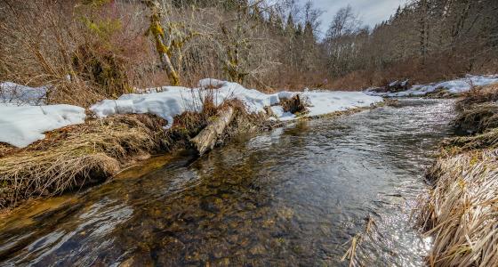 Walker Creek, Oregon
