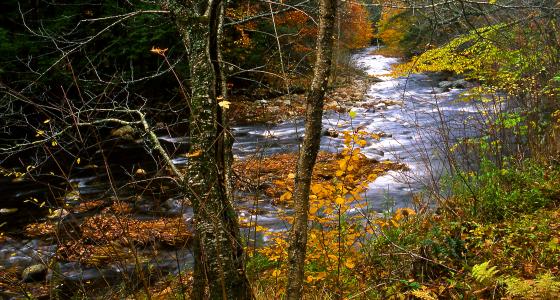 Westfield River, Massachusetts