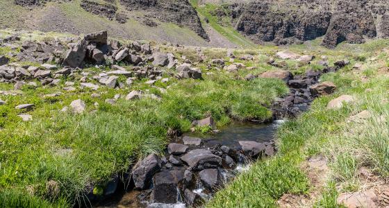 Wildhorse Creek, Oregon