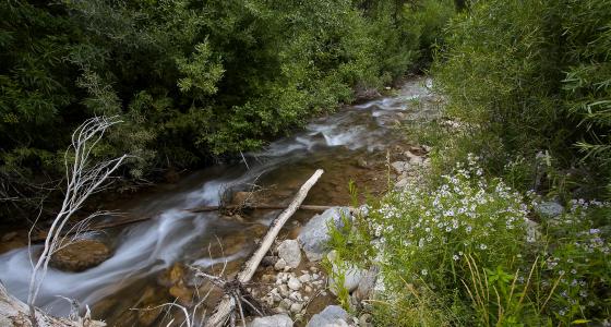 Wolf Creek, Wyoming