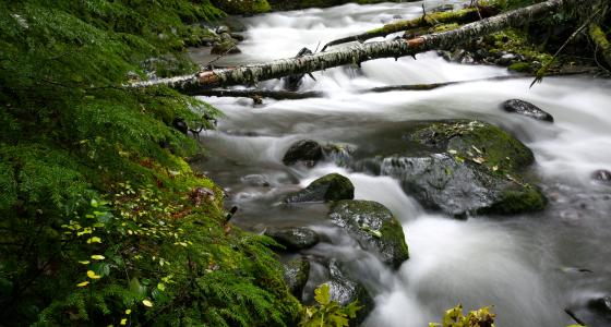 Zigzag River, Oregon