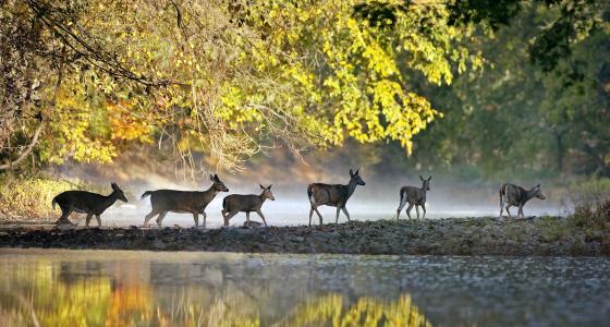 Big Darby Creek, Ohio