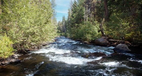 Crescent Creek
