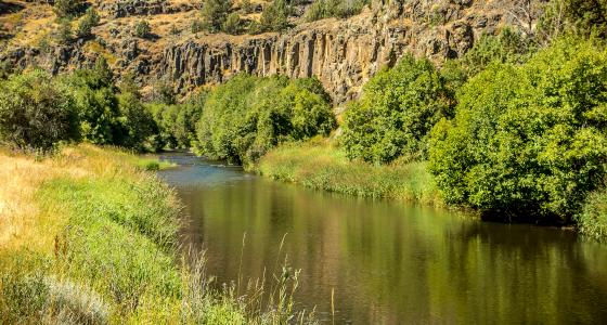 Donner und Blitzen River, Oregon