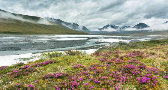 Ivishak River, Alaska