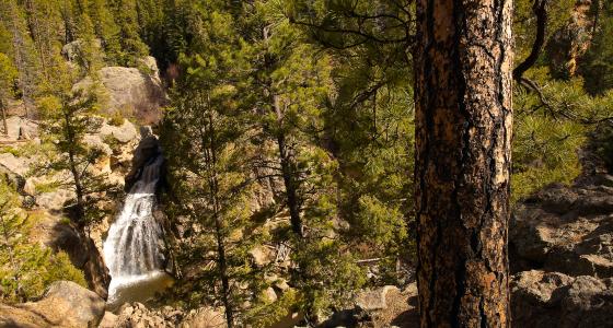 East Fork Jemez River, New Mexico