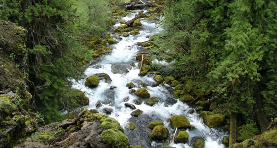 McKenzie River, Oregon