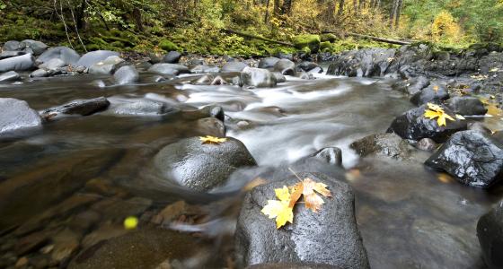 Molalla River, Oregon