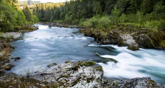North Umpqua River, Oregon