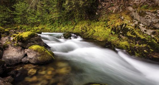 Quartzville Creek, Oregon