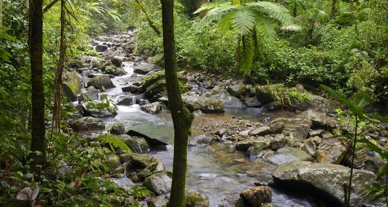 Rio de la Mina, Puerto Rico