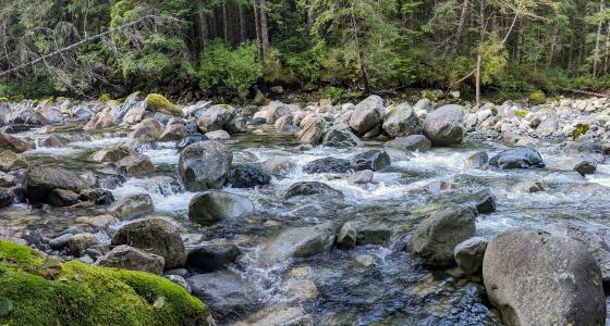 Pratt River, Washington