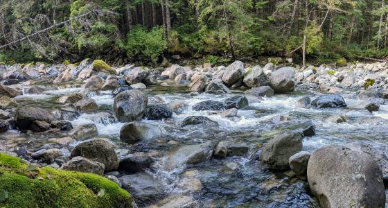 Pratt River, Washington