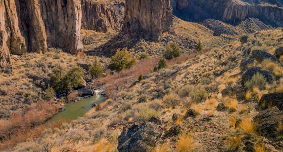 Sheep Creek, Idaho