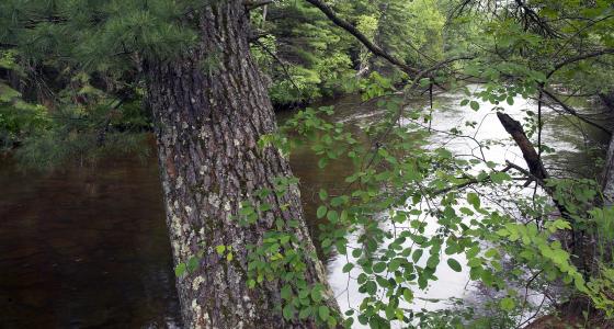 Sturgeon River, Hiawatha National Forest, Michigan