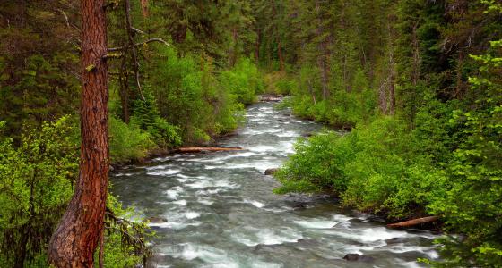 Imnaha River, Oregon