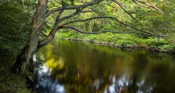 Taunton River, Massachusetts